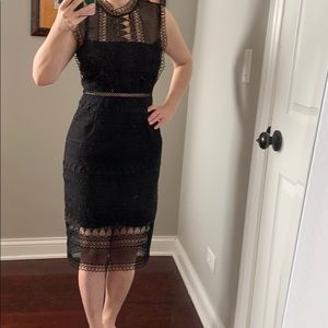 Beautiful lace Bardot dress